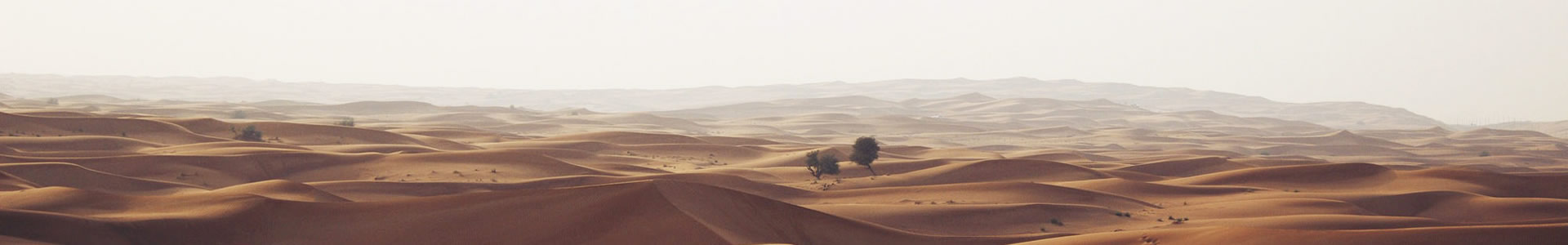 ֮Խɼ޹˾